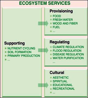 Ecosystem goods and services, Source: World Health Organisation (2012) 